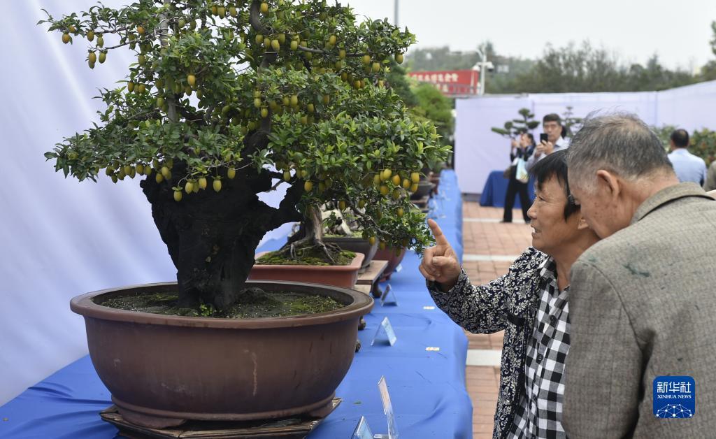 澳葡www146net日本